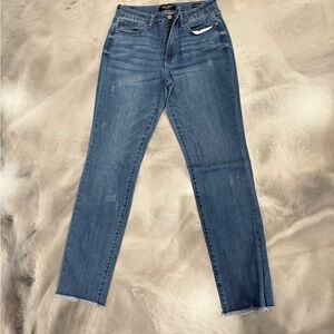 Judy Blue Classic Skinny Jeans in Blue